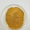 High Quality Ginger Extract  Ginger Root Extract Powder Gingerols 20%