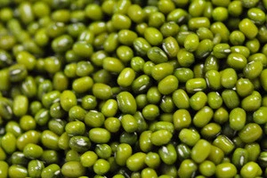 High Quality Green Mung Beans for Sell