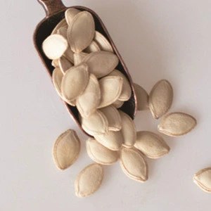 High Quality natural white Pumpkin Seeds,Pumpkin Seed From Europe
