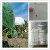 High quality Plastic film used in covering crop plantation