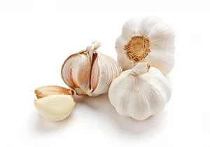 High Quality Pure White Garlic/ Fresh Garlic/Garlic Exporters South Africa