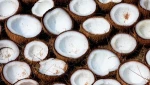 High Quality Semi Husked Fresh Coconut