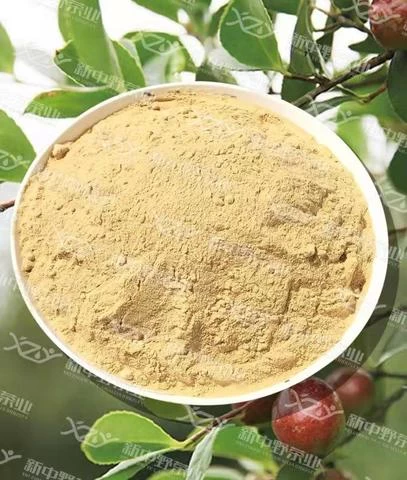 High quality service tea saponin powder bark extract saponin organic powder