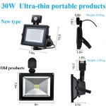 High quality waterproof heat resistant to cold Indoor/outdoor LED IP66 Motion Sensor Lighting Induction projector lamp