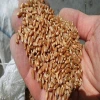 High quality wheat grain from Ukraine 2grade, 3grade, 6grade