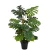 Import Highly Simulation 1.2m Ornamental Artificial Monstera Plant from China