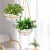 Import Home Decoration Porcelain Flower Pot with Rope, Home Decoration Ceramic Planter Pot from China