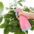 Import Hot Sale Daily Plastic Watering Can Household Garden Watering Can Flower Sprayer from China