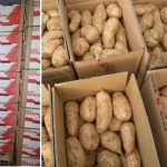 hot sale fresh red sweet potato