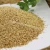 Import Hot Sale Halal Certificate China New Crop Washed Sesame Seeds White Wholesale from China