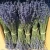 Import hot sale high quality new crop dried lavender flowers from China