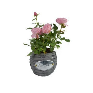 Hot Sale New Product Wicker Plant Pots Round Flower Wicker Baskets For Plants