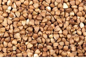 Hot sale raw Sweet Buckwheat price 2017 crop