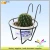 Import Hot Sale Wire Mesh Fancy Storage Metal Plant Hanging Basket from China