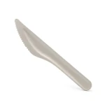 Hot Sales Biodegradable Compostable pulp tableware Sugarcane  bagasse Pulp Paper Spoon