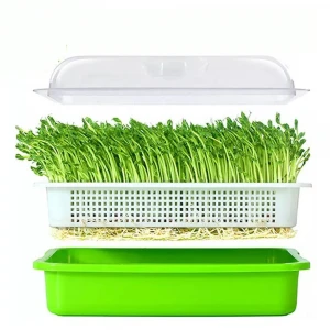 Hot Sales High Quality Home DIY Green Hydroponics Bean Sprouting Microgreens Seed Trays With Lid