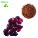 Hot selling  antoxidant natural grape seed extract 95% proanthocyanidin proanthocyanidins
