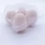 Import Hot Selling Cheap Price plastic duck egg tray from China