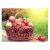 Import Hot Selling Fresh Apples Fruits for Sale Red Fresh Apple from South Africa