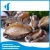 Import Hot selling seafood shellfish Abalone in Shell for sale from China