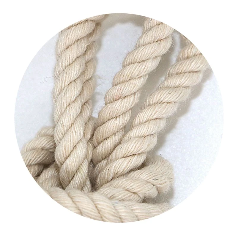 Hot Selling Twisted Cotton Rope Made In China