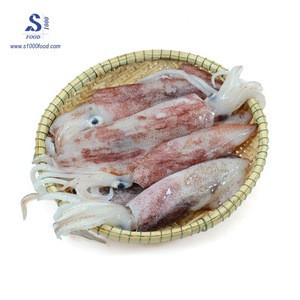 Buy Hot! Viet Nam Frozen Squid Hight Quality. from S1000 FOOD SERVICE ...