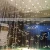 Import Hotel lobby crystal light hall light banquet hall seagull bird chandelier engineering light customization from China
