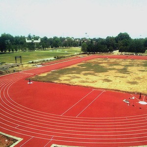 IAAF Approved Spray-Coat Rubber Running Track Paint EPDM Granules Jogging Track