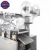 Import Ikram16 Blister Packing Machine Dpp-250 from USA