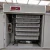 Import incubators hatching eggs fully automatic Chicken Egg Incubator Hatching Machine With Cost-Effective from China