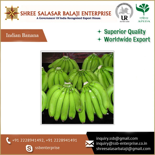Indian Wholesaler of Top Notch Quality Green Colored Cavendish Bananas at Best Price