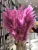 Import Ins hot preserved plant real touch flower white pink dried pampas grass from China