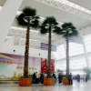 Interior and external house decoration large date palm tree