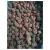 IQF frozen berries iqf frozen blackberry fruit in bulk