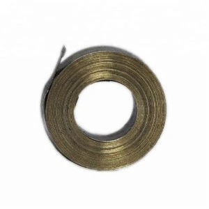 ISO14001 SUS304 Flat Spiral Constant Force Spring