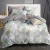 Import King Size Printed Bedding Comforter Set from China