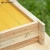 Import Langstroth Deep Waxed Wood Bee Hive Frames with Wired Beeswax Foundation Apiculture Equipment Beekeeping Tool Supply Apicultura from China