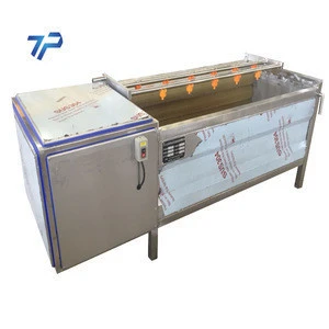 Large Capacity Fruit and Vegetables Brush Washer for Fruit and Vegetables