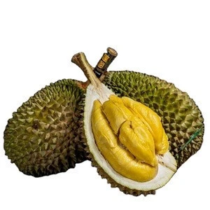 Gambar durian musang king