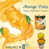 Mango Fruit Juice
