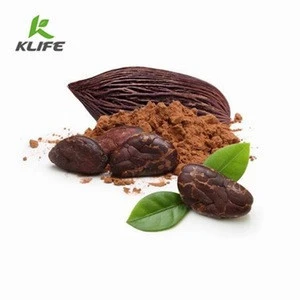 Manufacturer Supply Natural Cocoa Beans Extract Price Cocoa Powder