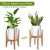 Import Modern mid century wood indoor bamboo plant stand from China