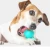 Import Multifunction Pet Toy Dog Rope Bite Toys Dog Ball Treat Toys with Suction Cup from China