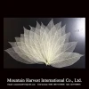 Natural Magnolia Skeleton Leaf Leaves Card Scrapbook Craft