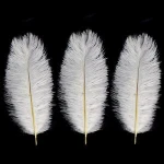 Natural Ostrich Feathers 12-14inch(30-35cm) for Home Wedding Party Decoration