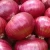 Import new crop 2018 fresh onion from Egypt