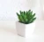 Import New Modern style China Supply Succulent potted cheap wholesale artificial plant from China