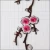 Import New Plum Blossom Flower Applique Clothing Embroidery Patch Iron On Patches Craft Sewing Repair Embroidered from China