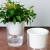 Import new product fashion designed transparent ABS plastic flower pot indoor decoration flowerpot from China