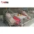 Import New type pig farm equipment sows using farrowing crate animal cage from China